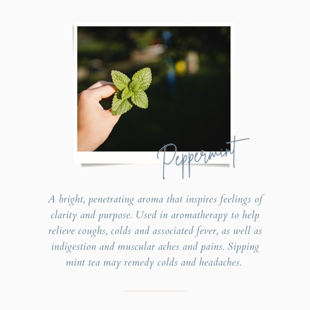 Mint Earl Grey (Organic)